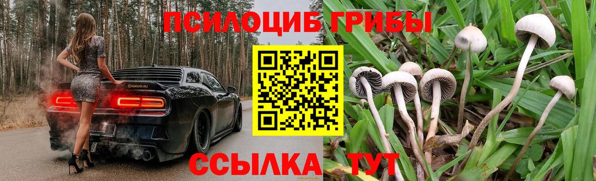 Галлюциногенные грибы ЛСД Богородск