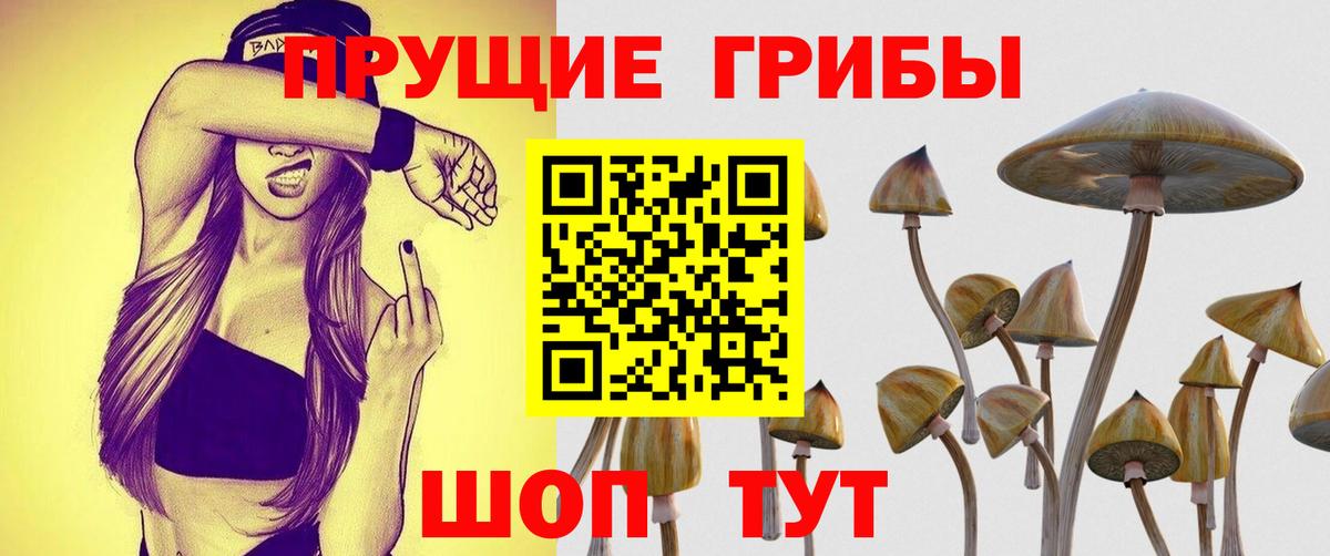 Псилоцибиновые грибы мухоморы  наркотики  Богородск  Вход с VPN 